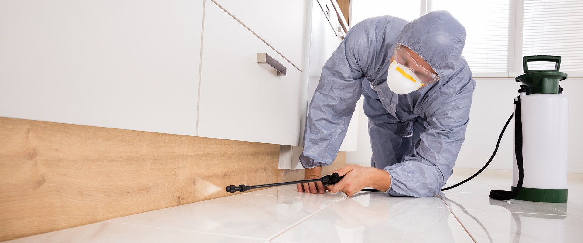 Residential and Commercial Pest Control Services: Your Comprehensive Pest Management Solution