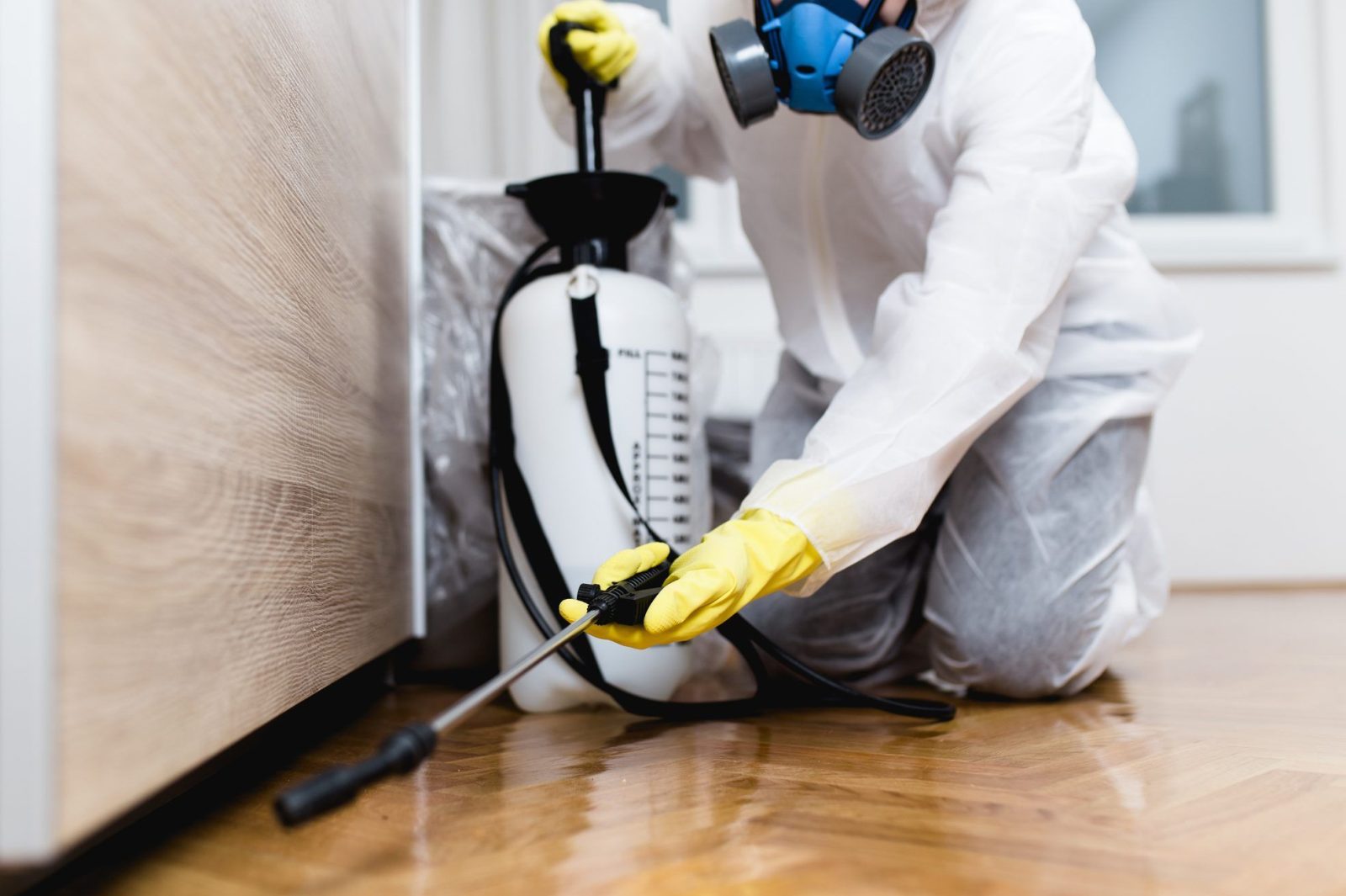 Safe Pest Prevention Strategies for a Healthy Home